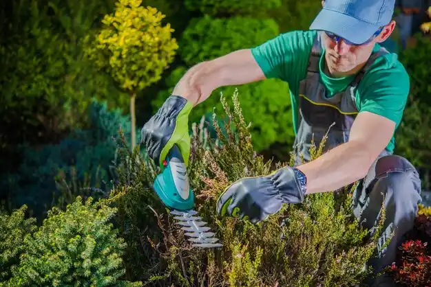 landscaping services Frewsburg